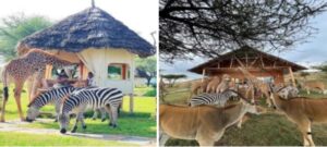 OLERAI LODGE